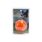 LED glowing pet dog biting ball